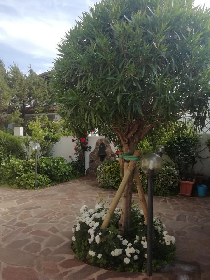Casa Vacanze Villa Rosa กาลาโกโนเน ภายนอก รูปภาพ