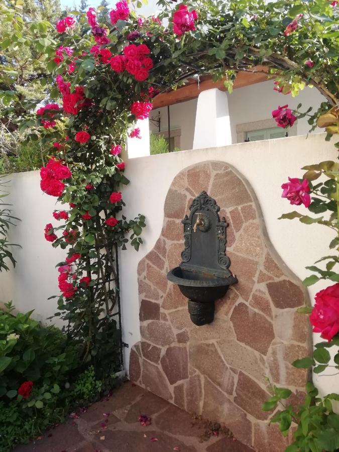 Casa Vacanze Villa Rosa กาลาโกโนเน ภายนอก รูปภาพ