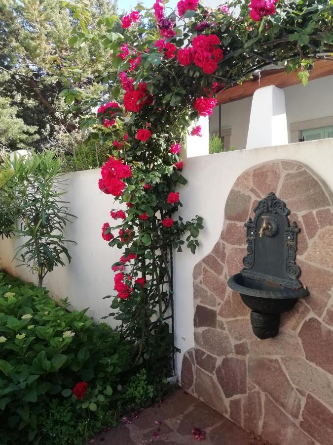 Casa Vacanze Villa Rosa กาลาโกโนเน ภายนอก รูปภาพ