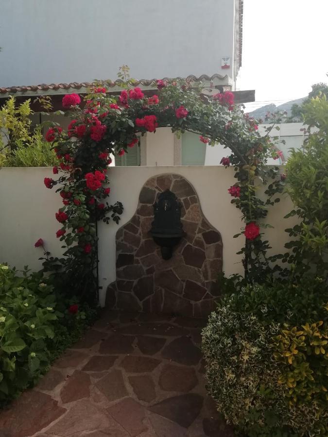 Casa Vacanze Villa Rosa กาลาโกโนเน ภายนอก รูปภาพ