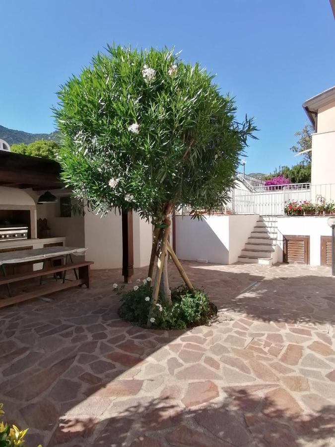 Casa Vacanze Villa Rosa กาลาโกโนเน ภายนอก รูปภาพ